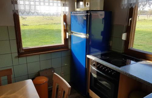 Ferienhaus Uckermark pur - Photo 2