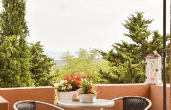 apartman Iva - Foto 19