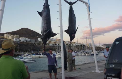 Amazing Sea View apartment with sun drenched terrace! - Photo 33