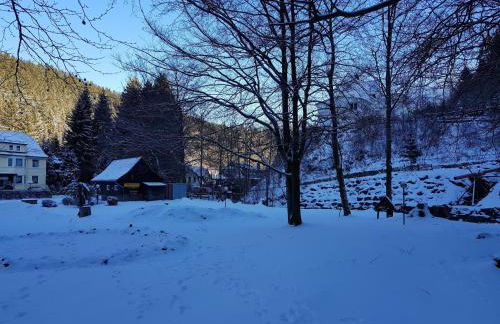 Alpine Escape in Wildemann - Foto 76