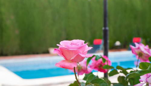 Villa Granada Garden Deluxe - Foto 4, Garden