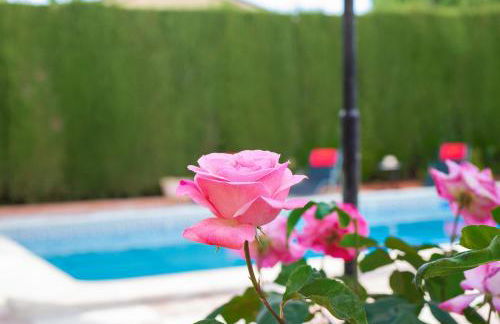 Villa Granada Garden Deluxe - Foto 4