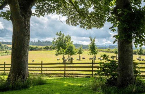 Marcassie Farm Lodges - Willow Studio - Photo 10