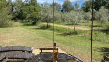 Gîte de charme face au Luberon, avec Jacuzzi - Foto 3, Garden