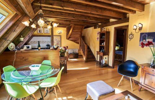 Apartamentos Solsalient - Foto 68