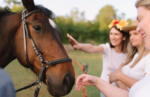 Villa Madunic with private swimming pool - Foto 44