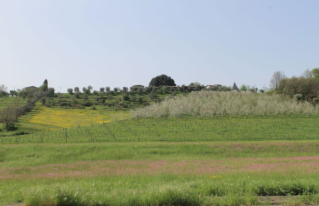 Agriturismo La Praduscella - Foto 33