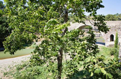 The Balcony Gîte - Riverside Lagrasse - Foto 22