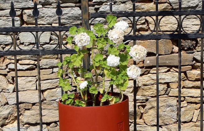 Nikolaou Apartments Upper Floor - Foto 29