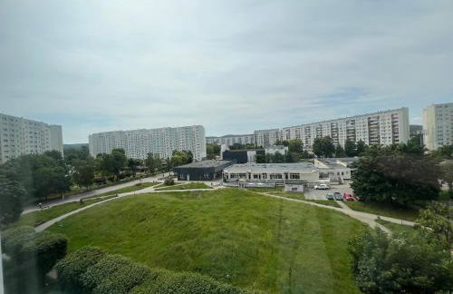 Platinium White - Gospody - Foto 5