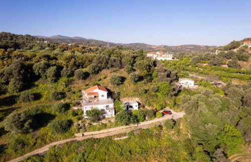 Iris Cretan Mountain Escape - Photo 31