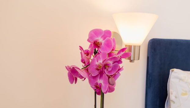 Blu Parthenope Suites - Foto 2, Habitación