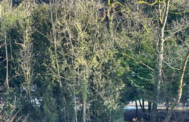 Riverview Apartment 2 - Foto 27