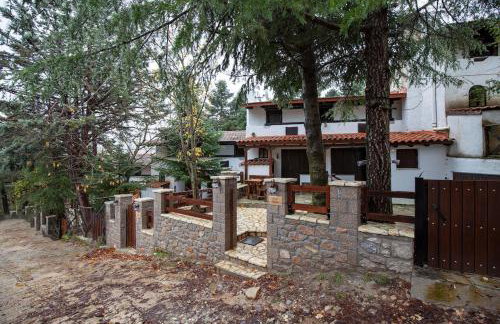 Dandy Villas Agoriani - Chalet Erato - Fireplace - Foto 26