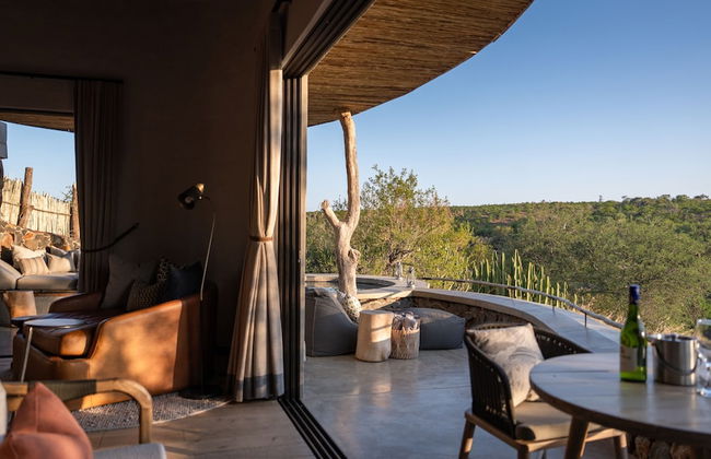 Euphorbia Mashatu - Foto 42