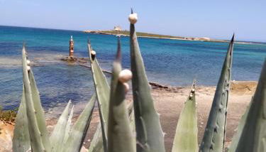 Casa Sciatu di Mari - Foto 3