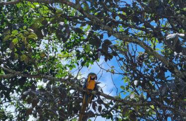 Casa 4 dorms 2 suites - localização perfeita no centrinho e rodeada de natureza - Foto 35