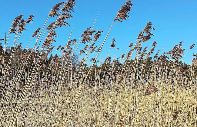 8 Person Holiday Home in Berg - Foto 16