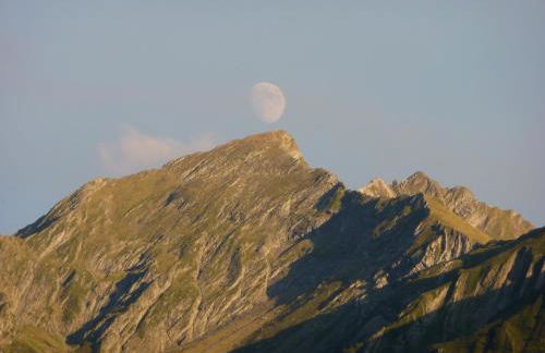 Appartement Rez de Jardin - Foto 13