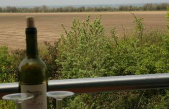 Meerblick - Ostseebad Nienhagen - Photo 55