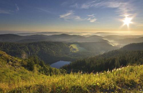 Waldklang Titisee - mit Terrasse und Gartenzugang - Foto 20