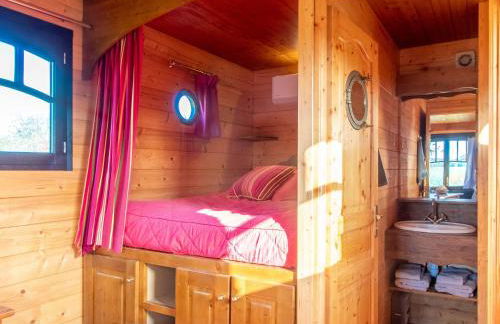 Roulotte climatisée avec piscine et jardin - FR-1-622-54 - Photo 10