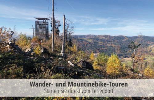 Ferienwohnung Hauzenberg mit Pool & Sauna - Foto 53