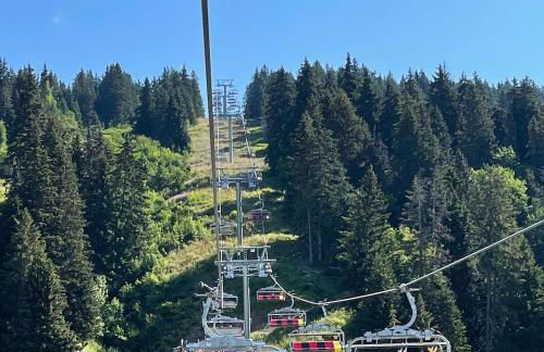 APPARTEMENT PLEIN SUD AUX SAISIES N°6 - Foto 33