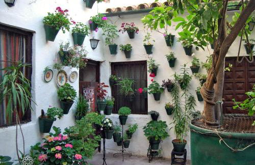 Casa Turística San Agustín - Foto 39