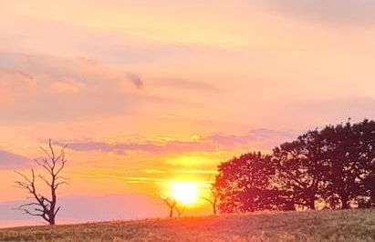 Station Heights - Foto 17