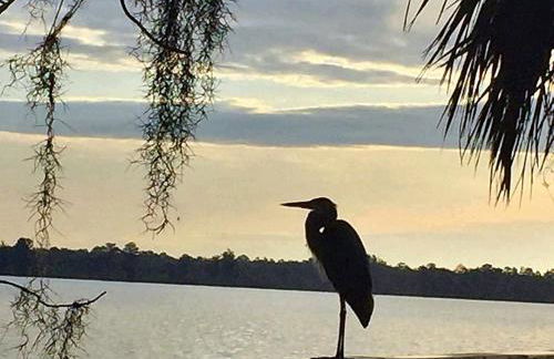 Charming 1923 Cottage at Erehwon Retreat - Foto 31