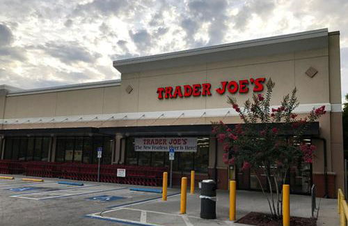 Heated Pool! Paradise in Midtown Tampa 3B2B - Foto 51