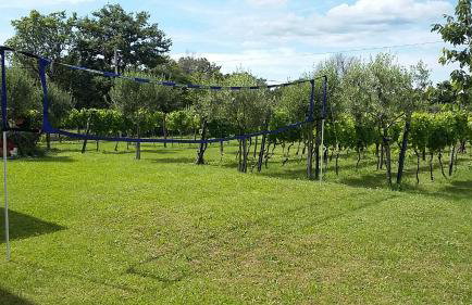 Villa Ivana - Photo 63