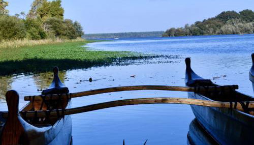 Apartment Les Patios de Flore-2 by Interhome - Foto 4
