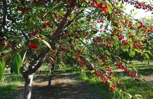 B&B la Concordia - Foto 25