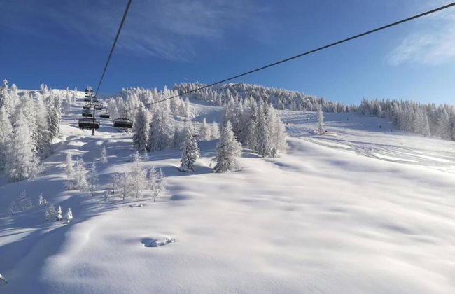 Sunlit Apartment near Ski Area in Mittersill - Foto 40