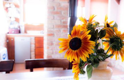 Propolis house - Foto 26