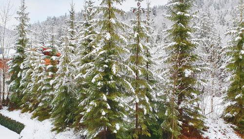 Ferienwohnung Lofereck Reit im Winkl - Foto 4