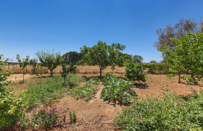 Villa dei Primi - Foto 35