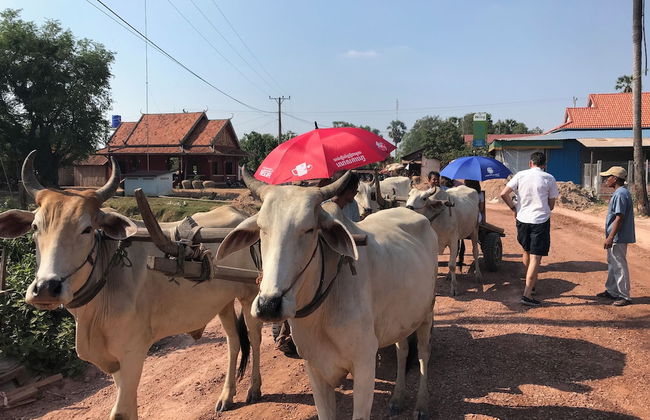 Madam Sokha Homesteading - Foto 54