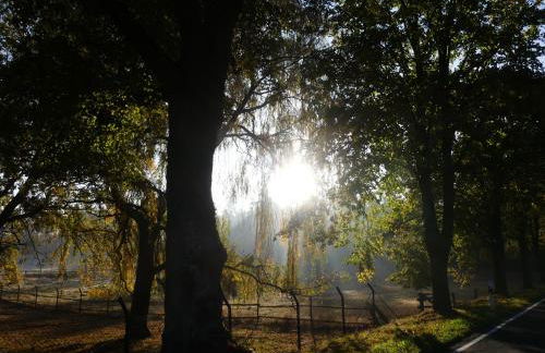 Parkland-Haus Dalwitz - Foto 21