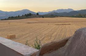 CORTIJO EL PRADO ll - Foto 14