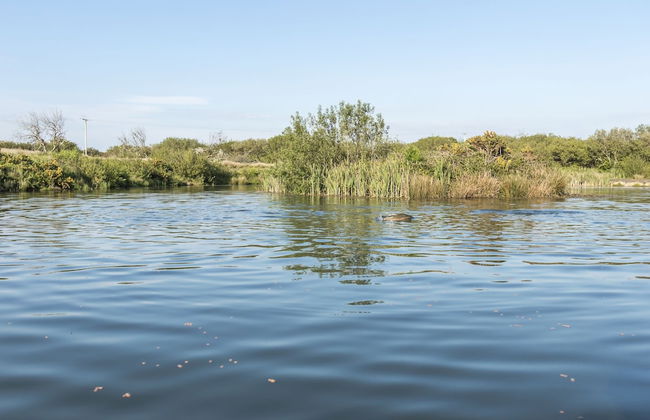 Fern Cottage - 1 Bedroom - Tiers Cross - Foto 46