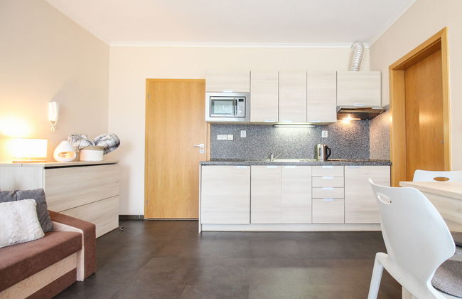 Resident Harrachov B - Foto 10