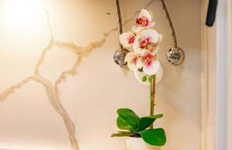 Black Sand Cozy Apartment - Foto 27