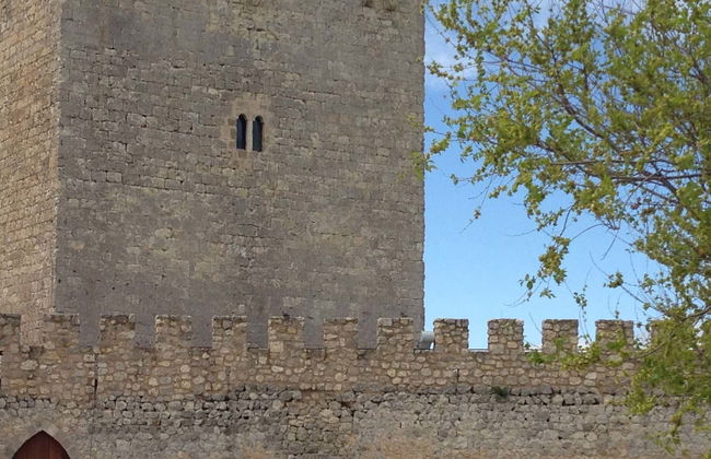 Biglietti per il castello di Tiedra - Foto 1