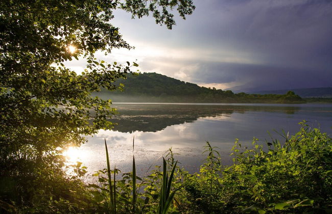 Agriturismo Tra Serra e Lago - Foto 31