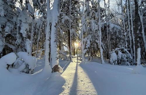 Distinctly modern cabin on quiet Northwoods lake - Foto 8