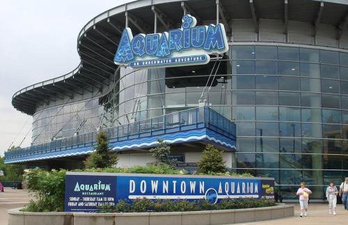 3329 W 31st - Foto 26