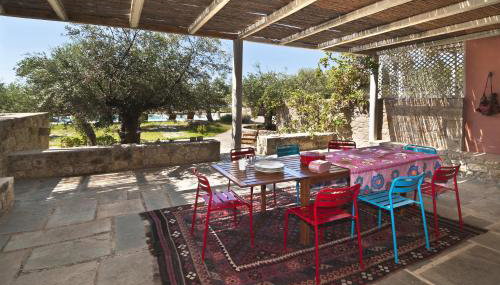 Salvia - Foto 5, Garden, Garden view